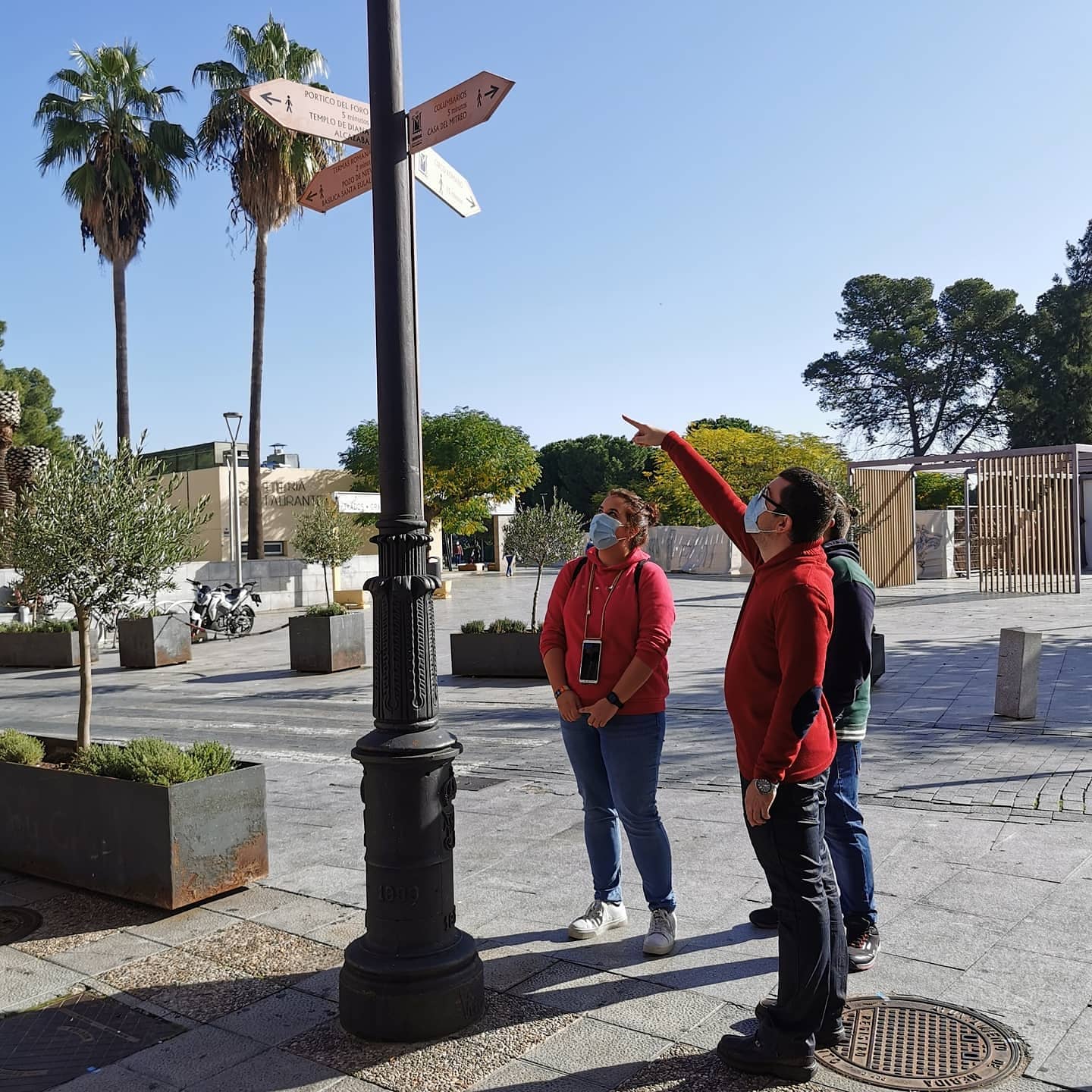 Ir a Plena inclusión se une al CERMI para reclamar al Gobierno que apruebe el Reglamento que desarrolle el derecho a la Accesibilidad Cognitiva