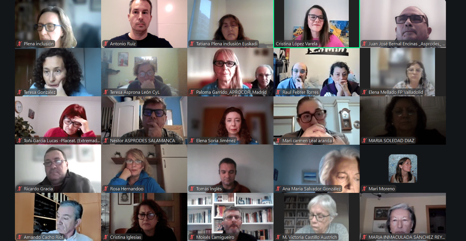 Ir a Más de 100 hermanos de personas con discapacidad intelectual debaten sobre el reto del relevo generacional en las familias