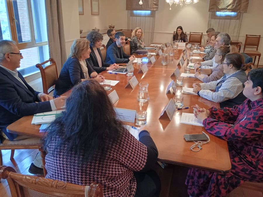 Ir a Plena inclusión España consolida en 2026 su incidencia política y legislativa en favor de los derechos de las personas con discapacidad intelectual y de sus familias