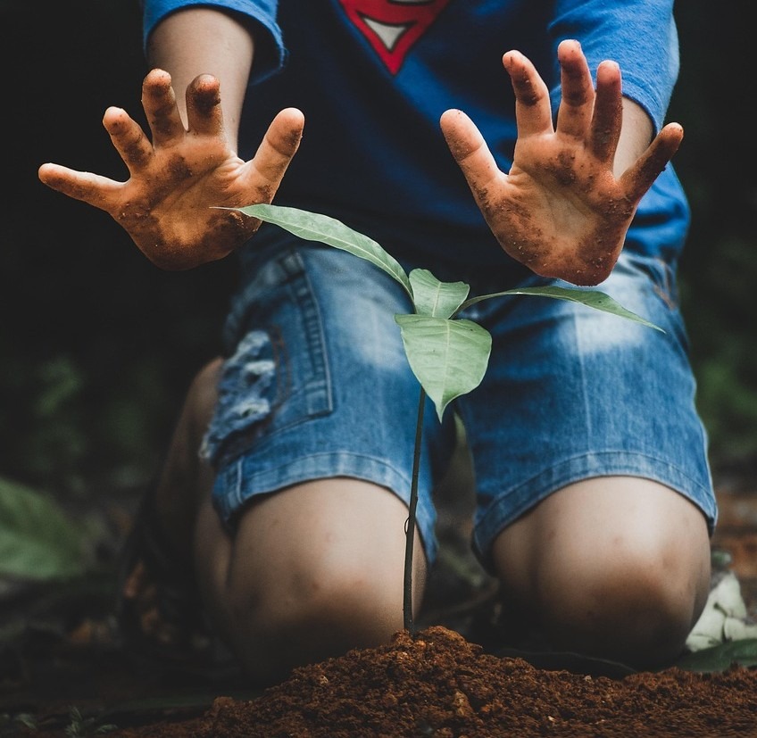 Ir a Abierta la 12ª edición de los Premios Aprendizaje-Servicio 2026