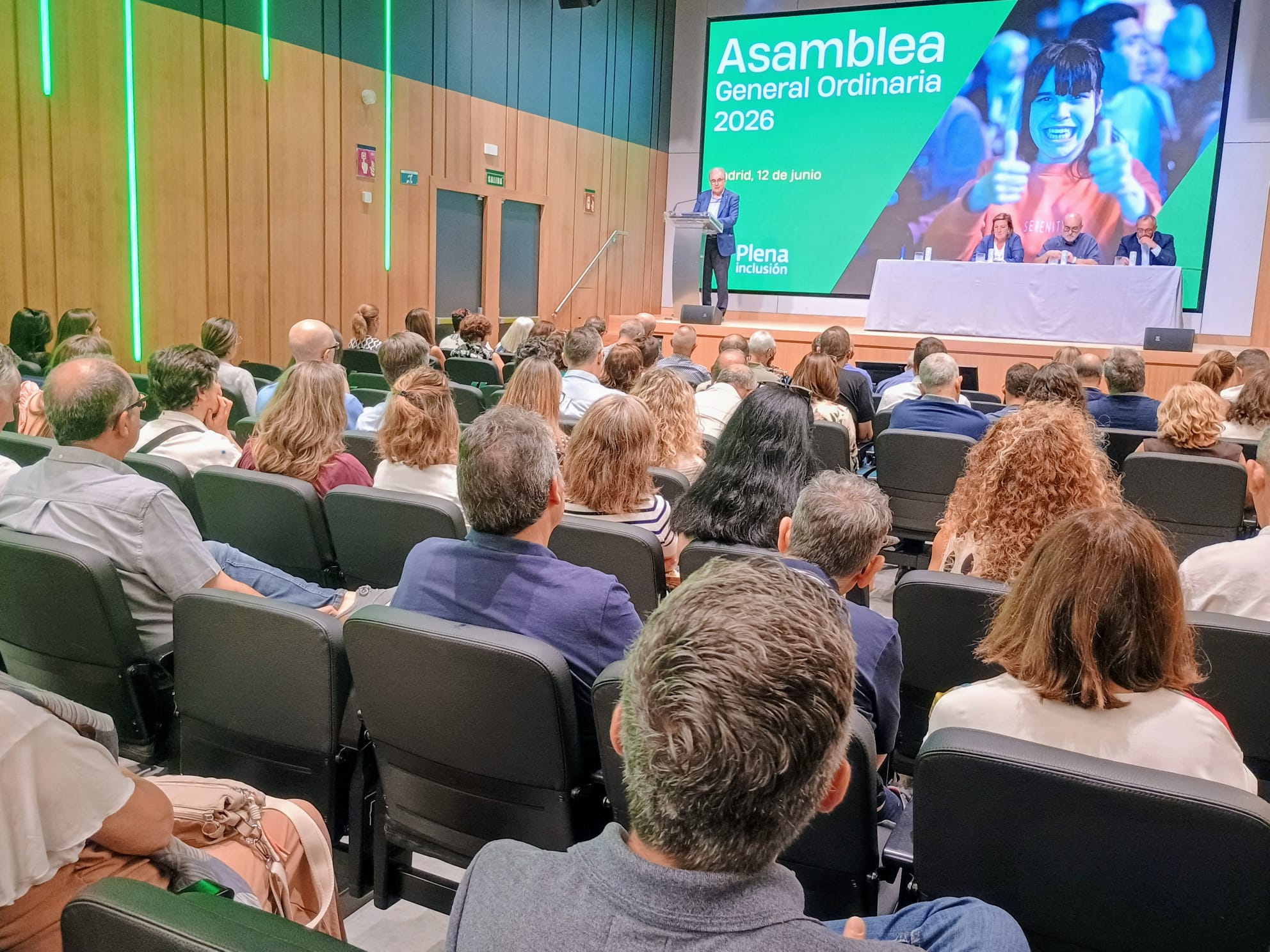 Ir a La Asamblea General de Plena inclusión España acuerda la renovación de Carmen Laucirica como presidenta y se compromete de nuevo con los principios de la Convención de Naciones Unidas